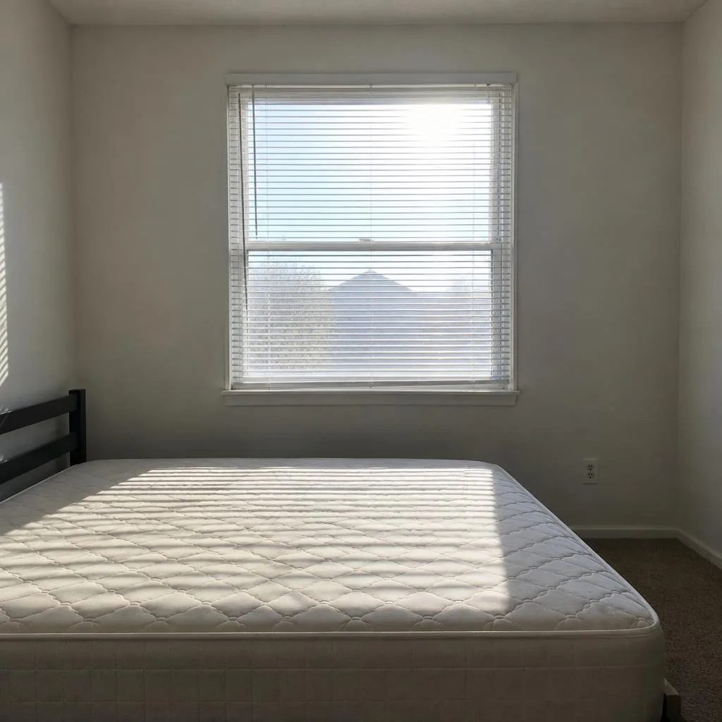Before window treatments & bedding design design concept: From harsh light to gentle mornings.